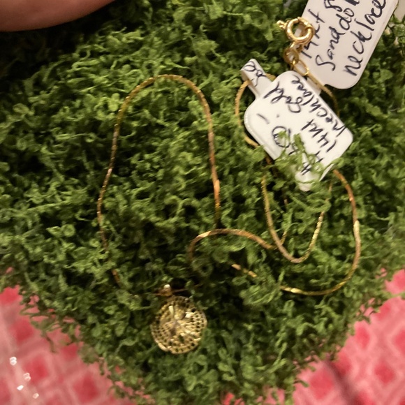 Beautiful, Solid 14 kt yellow gold sand dollar pendant - Picture 4 of 8